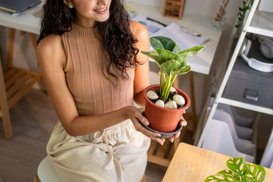 Close up of young woman gently taking care of indoor plants in cozy house. 