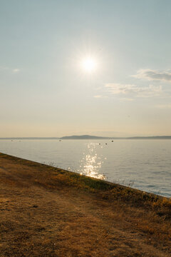 afternoon paddle boarders in West Seattle, Washington