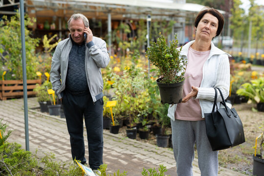 elderly man and woman buy yew plants at an open market