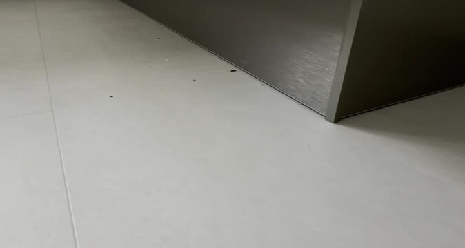 Close-up view of a dirty modern floor surfaces in the kitchen