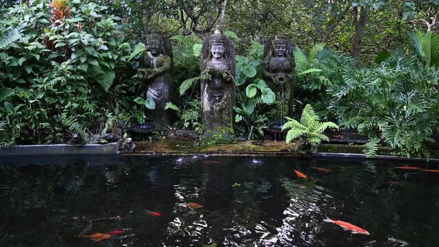 Koi swim before fountains in Monkey Forest