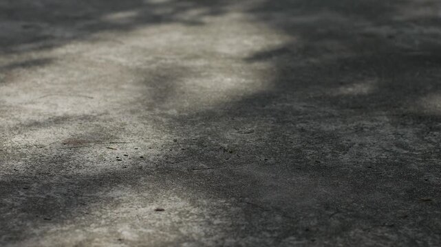 Concrete Pavement Surface with Dappled Tree Shadow and Sunlight Texture