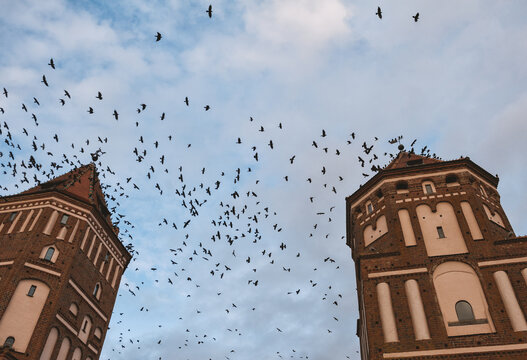 Medieval historic castle towers beneath birds