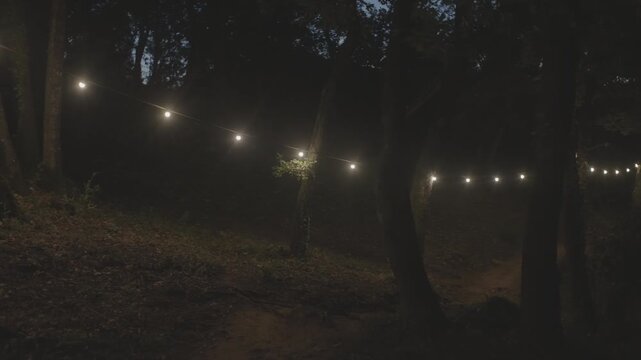 A string of glowing fairy lights hangs between trees in a dark forest at night, as the camera slowly pans right along a dirt path