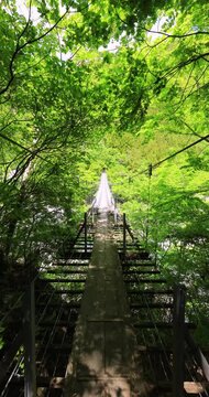 静岡県にある寸又峡の猿並橋を歩く