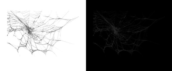 Fototapeta premium Spooky cobweb texture on white and black background, realistic spider web overlay for Halloween design, intricate silk thread pattern for horror atmosphere