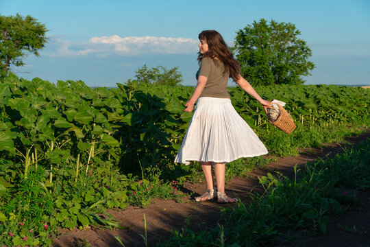Young woman walking through sunflower field with basket