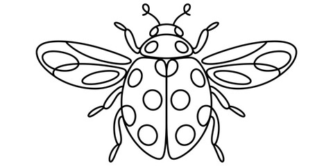 Simple line art drawing of a cute ladybug beetle with spots isolated on a white background Vector, illustration © Nano Creator