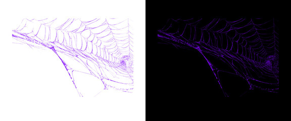 Purple spider web texture on white and black backgrounds, neon glowing cobweb design elements, spooky halloween spiderweb graphics for overlays © PNG Stock