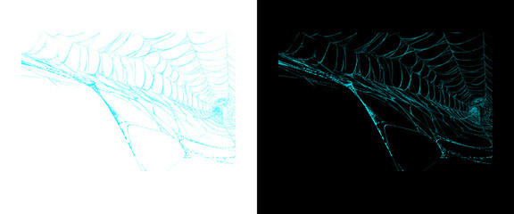 Cyan spider web texture on black and white backgrounds, glowing turquoise cobweb design elements, ethereal neon spiderweb patterns for spooky graphics © PNG Stock