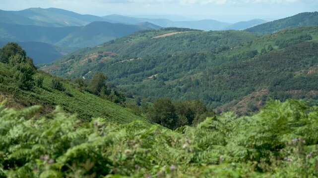 Vista panor&aacute;mica de un valle de Galicia, con colinas verdes, vegetaci&oacute;n abundante y un paisaje natural caracter&iacute;stico del noroeste de Espa&ntilde;a.