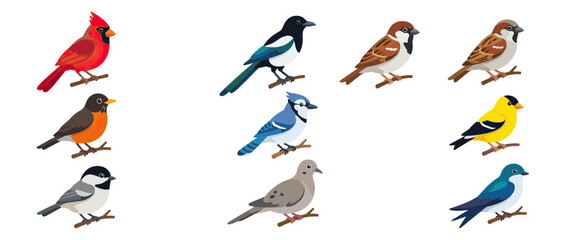Diverse Collection of Garden Birds Perched on Branches © wowo