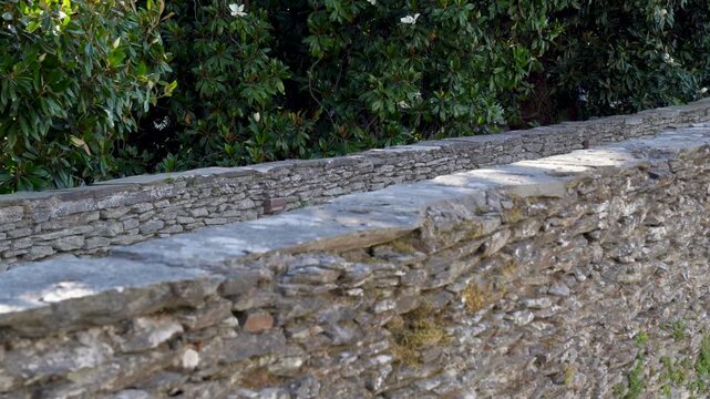 Detalle de la muralla romana de Lugo con una mujer caminando de espaldas junto a la hist&oacute;rica fortificaci&oacute;n de piedra.