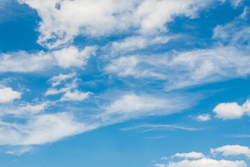 Fototapeta premium Soft white cirrus and cumulus clouds scattered across a vivid blue sky on a bright summer day. Scenic natural atmospheric background with fluffy clouds and clear light.