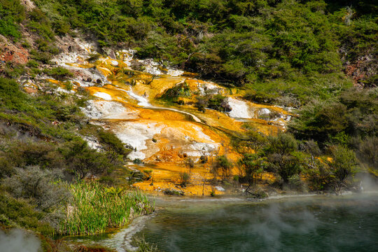Te Puia Geothermal Valley3