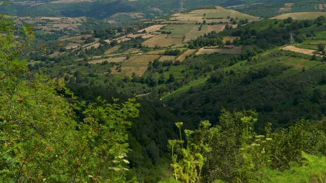 Vista panor&aacute;mica de un valle de Galicia, con colinas verdes, vegetaci&oacute;n abundante y un paisaje natural caracter&iacute;stico del noroeste de Espa&ntilde;a.