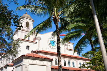 Fototapeta premium A Spanish colonial clock tower rises behind tall palm trees
