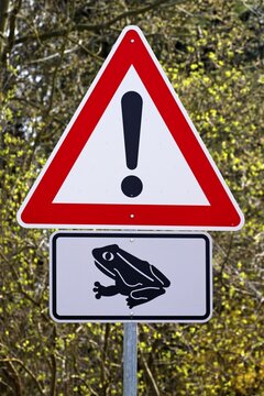 Sign, toad migration in spring, beware of toads and frogs crossing the road, protection of species, Germany