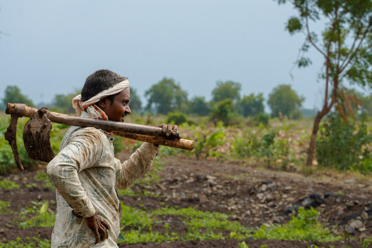 Indian farmer carrying a traditional hoe across a cultivated field, highlighting manual farming, rural livelihood.