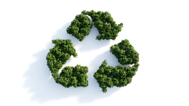 Environmental recycling icon formed by trees on white background with environment sustainability conservation protection management friendly initiative campaign