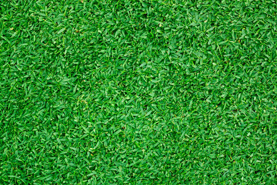 Grass green field football