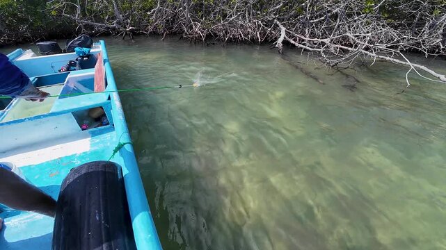 Skilled fisherman performing a precise cast net throw from a small boat, capturing the traditional technique within a pristine coastal mangrove ecosystem