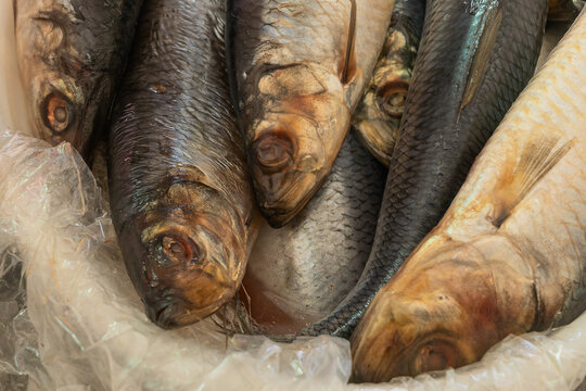 Whole salted herring heads close up shot in grocery store market. Commercial food image suitable for fish industry advertising, supermarket flyers, or traditional seafood recipes