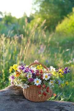 Beautiful colorful wildflowers in wicker basket on meadow, sunny natural background. Summer harvest season. rustic landscape with floral basket. relax, harmony, meditation atmosphere