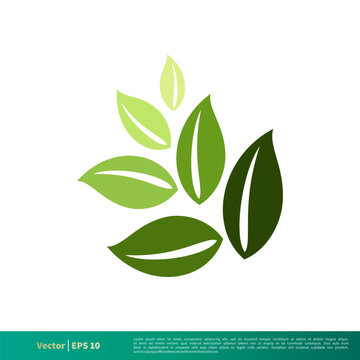 Nature Green Leaf Icon Vector Logo Template Illustration Design EPS 10.