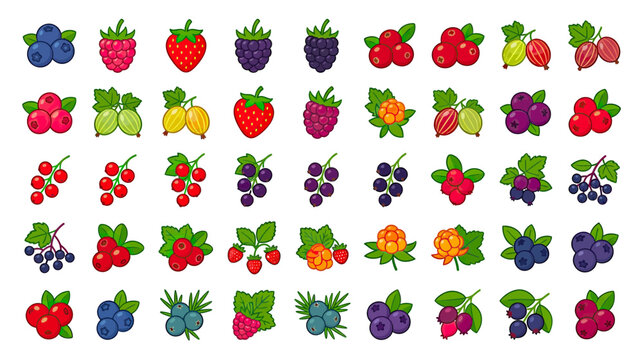 Assorted Hand-Drawn Berries and Fruits Collection