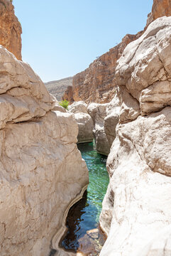 Wadi Bani Khalid, an oasis in the Hadschar Mountains, a desert landscape. Turquise water, wich runs in a canyon of limestone.