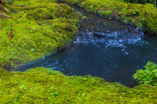 Tranquil river scene with mossy rocks and morning mist in forest,dreamlike atmosphere in the woods,waterfall in nature rainforest concept.