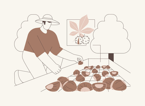 Chestnut farm isolated cartoon vector illustrations.