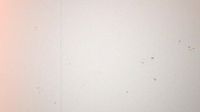 Super 8mm Analog, Retro 8mm Film Grain Texture Scratched Movie Leader Overlay for Vintage Aesthetic 4k video