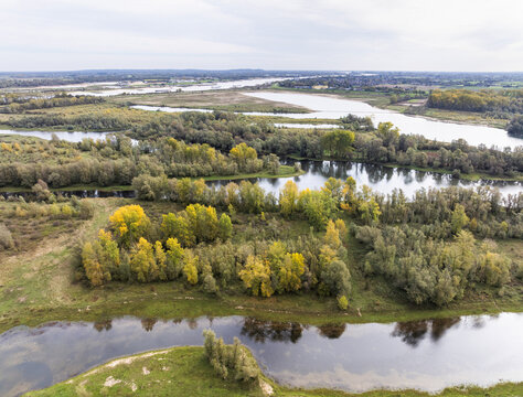 Aerial view of nature reserve Millingerwaard with meandering river channels, vibrant autumn foliage, and lush wetlands in front of village Millingen aan den Rijn, Gelderland, Netherlands.