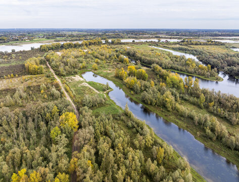 Aerial view of nature reserve Millingerwaard with winding waterways, lush autumn forests, and dirt paths in Millingen aan den Rijn, Gelderland, Netherlands.