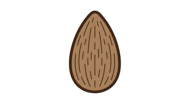 Single Almond Nut Illustration with Brown Shell and Texture Lines PNG Isolated on transparent background