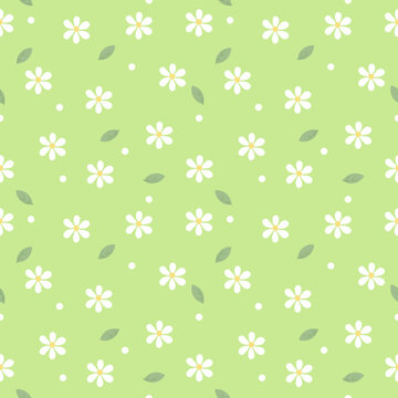 Cute Light Green Daisy Flower Seamless Pattern Background