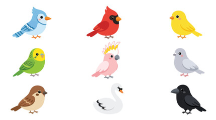 Collection of diverse birds illustration © BIGO