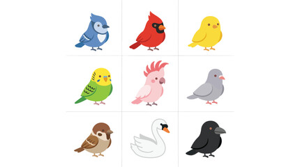 Collection of diverse bird illustrations © Cio