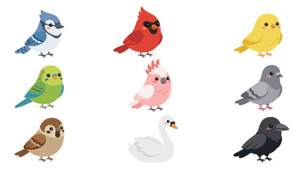 Collection of diverse bird illustrations © Cio