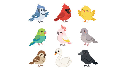 Collection of diverse cute birds © BIGO