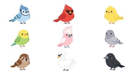 Collection of diverse cute birds illustration © BIGO