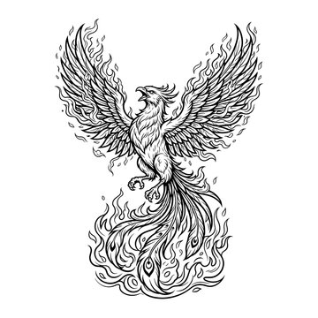 Phoenix rising with flaming wings. Mythical fire bird illustration in sketch style.