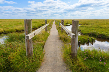 Fototapeta premium Path through the salt marsh at Sankt Peter-Ording, Germany