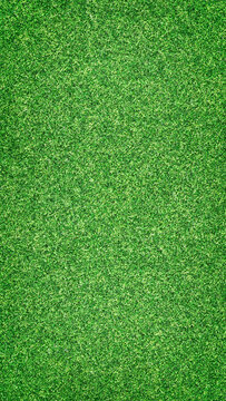 green grass vertical background wallpaper