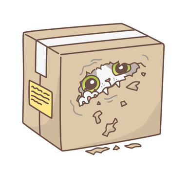 Funny cat sitting inside cardboard box and chewing a hole. Vector illustration. Cute cats series. 