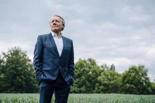 Senior businessman on a field in the countryside