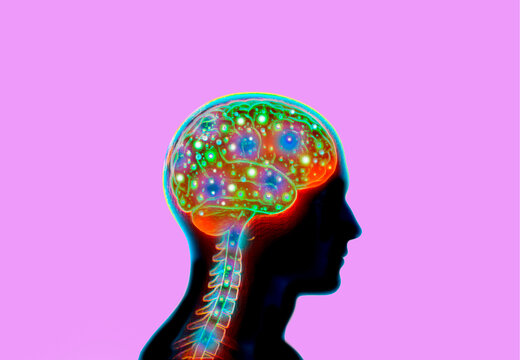 Glowing brain silhouette showing cognitive mental activity