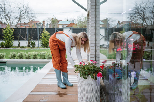 Woman plants blooming flowers in a garden pot by the pool